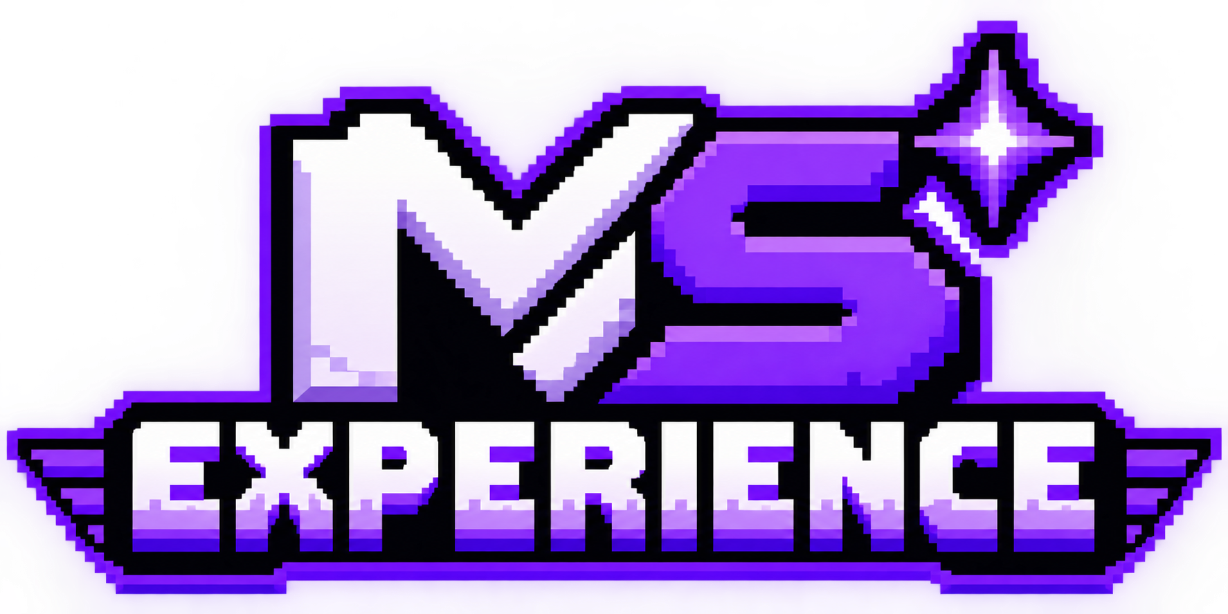 MS Experience